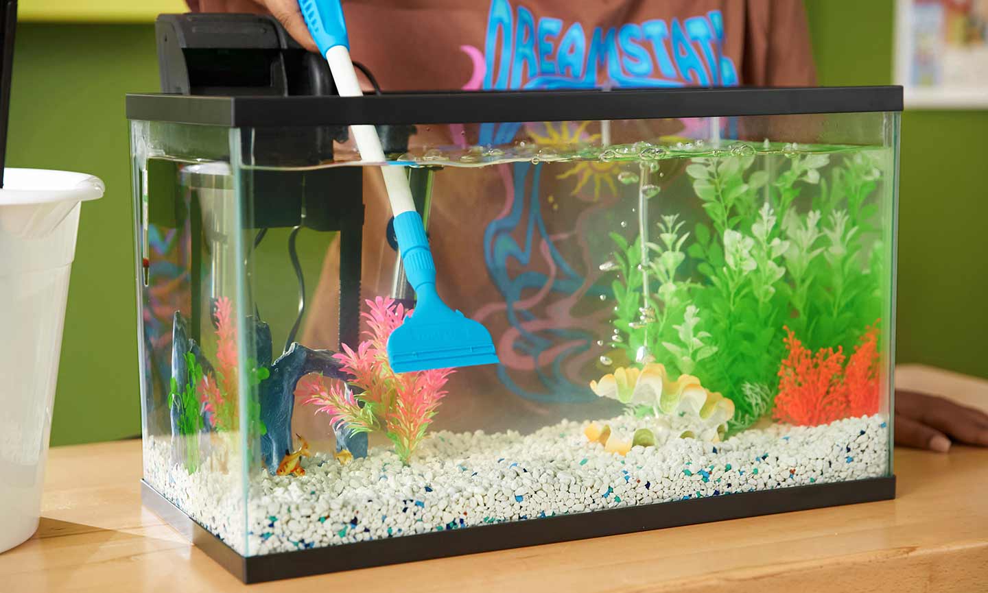 10 Tricks for Easy Fish Tank Cleaning